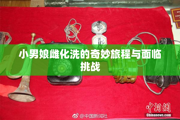 小男娘雌化洗的奇妙旅程与面临挑战