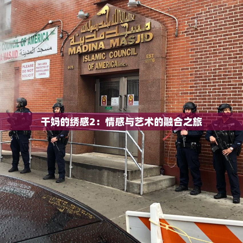 干妈的绣感2：情感与艺术的融合之旅