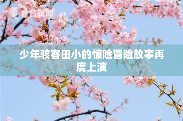 少年骇客田小的惊险冒险故事再度上演