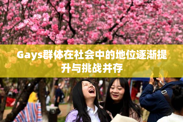 Gays群体在社会中的地位逐渐提升与挑战并存