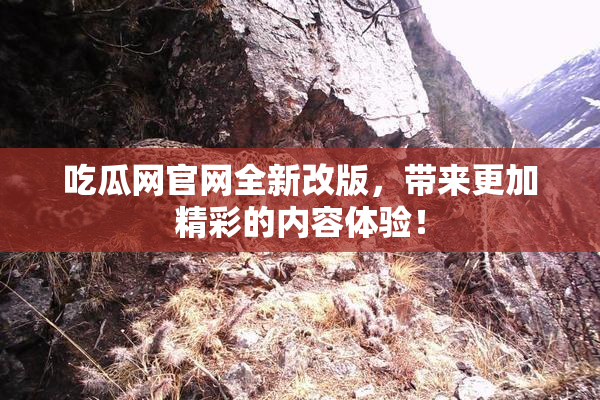吃瓜网官网全新改版，带来更加精彩的内容体验！