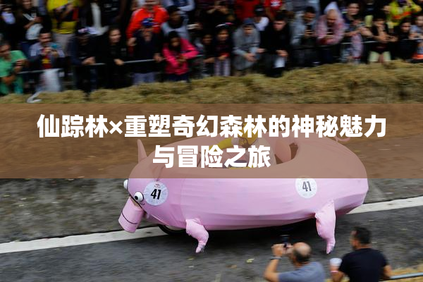 仙踪林×重塑奇幻森林的神秘魅力与冒险之旅