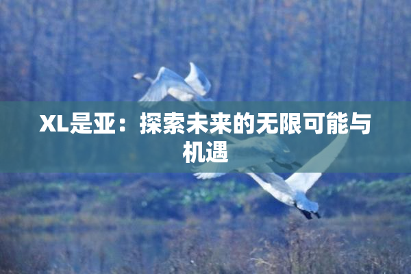 XL是亚：探索未来的无限可能与机遇