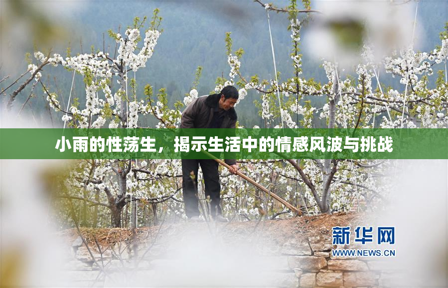 小雨的性荡生，揭示生活中的情感风波与挑战