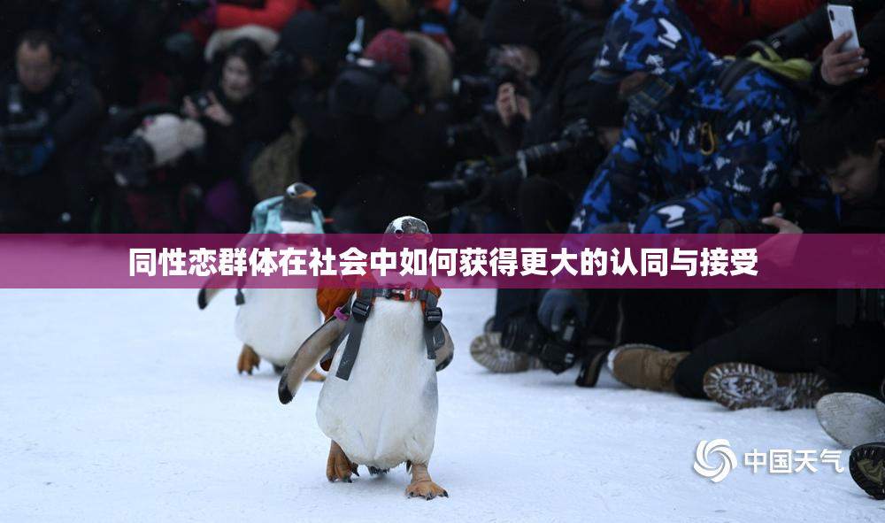 同性恋群体在社会中如何获得更大的认同与接受
