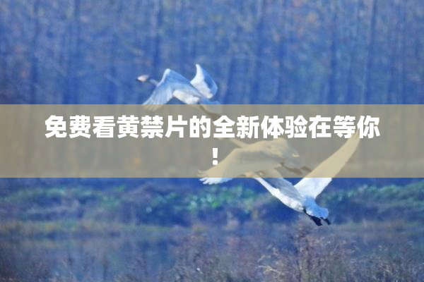 免费看黄禁片的全新体验在等你！