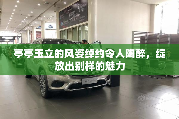 亭亭玉立的风姿绰约令人陶醉，绽放出别样的魅力