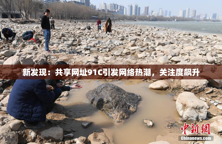 新发现：共享网址91C引发网络热潮，关注度飙升