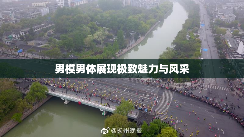 男模男体展现极致魅力与风采
