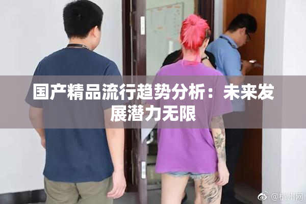 国产精品流行趋势分析：未来发展潜力无限
