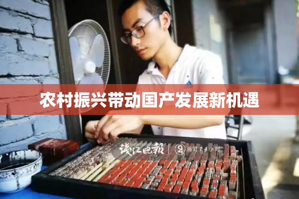 农村振兴带动国产发展新机遇