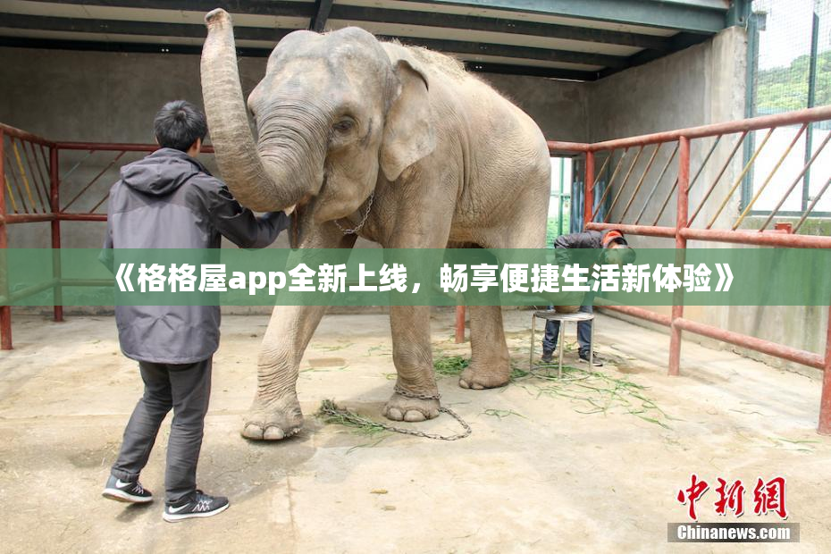 《格格屋app全新上线，畅享便捷生活新体验》