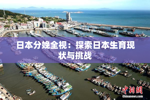 日本分娩全视：探索日本生育现状与挑战