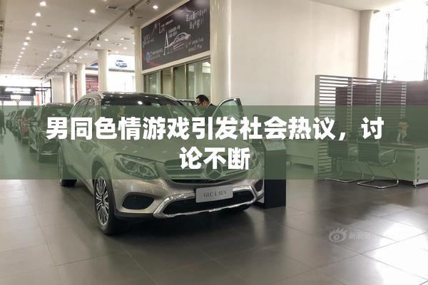 男同色情游戏引发社会热议，讨论不断