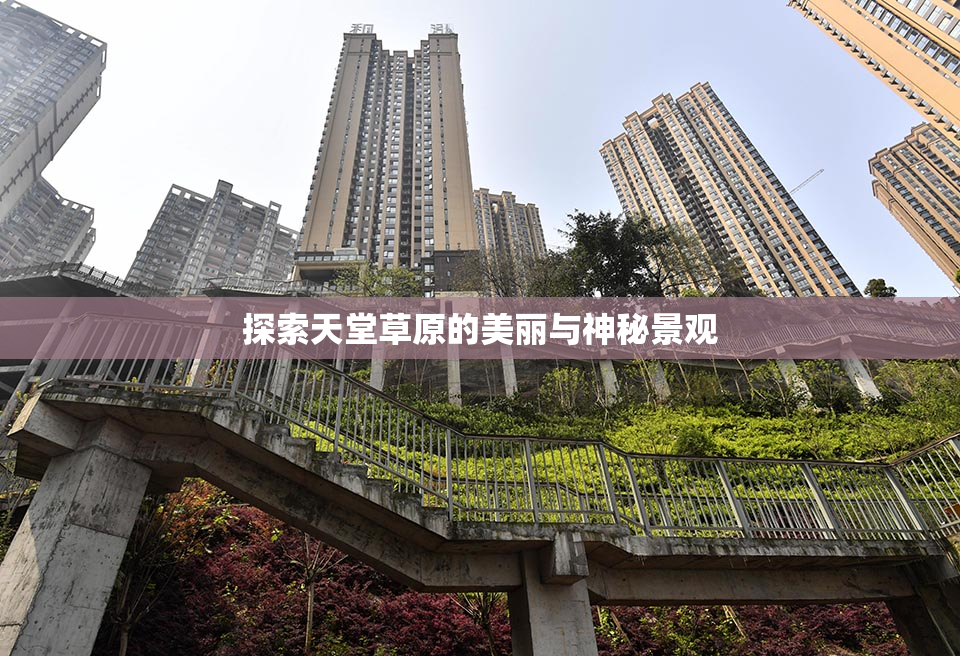探索天堂草原的美丽与神秘景观