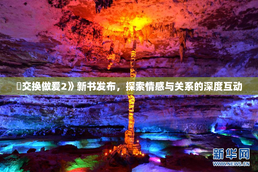 巜交换做爰2》新书发布，探索情感与关系的深度互动