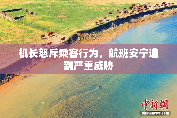 机长怒斥乘客行为，航班安宁遭到严重威胁