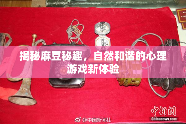 揭秘麻豆秘趣，自然和谐的心理游戏新体验