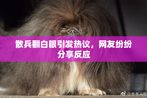 散兵翻白眼引发热议，网友纷纷分享反应
