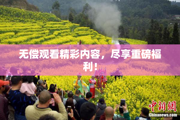 无偿观看精彩内容，尽享重磅福利！