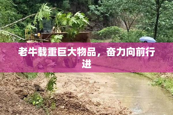 老牛载重巨大物品，奋力向前行进