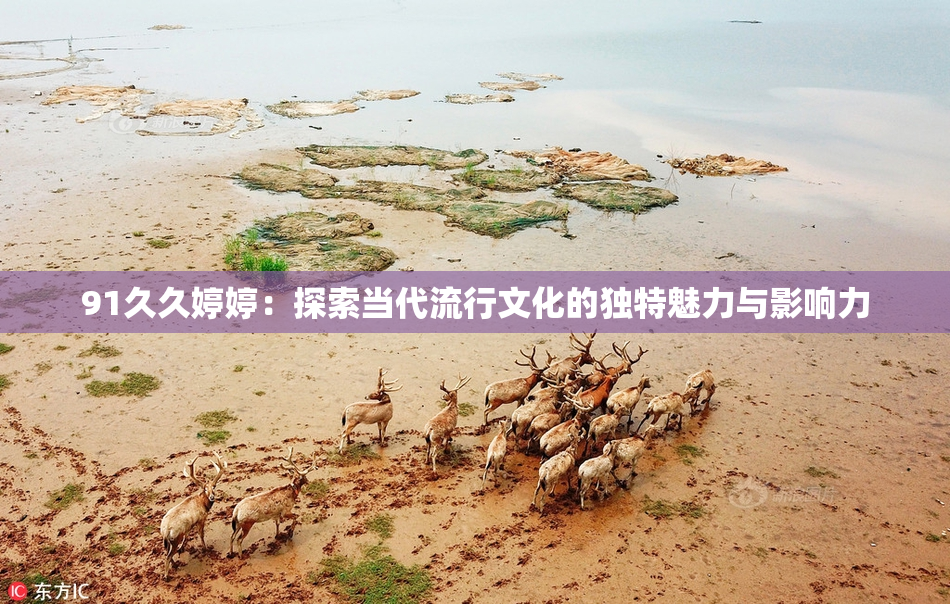 91久久婷婷：探索当代流行文化的独特魅力与影响力