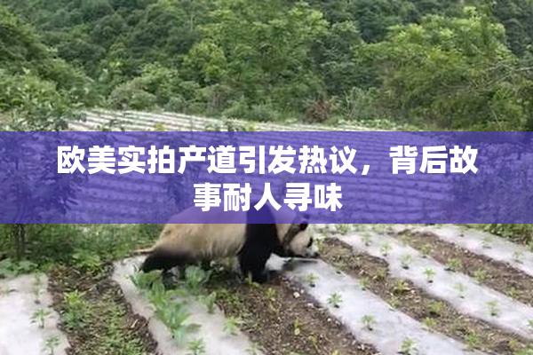 欧美实拍产道引发热议，背后故事耐人寻味