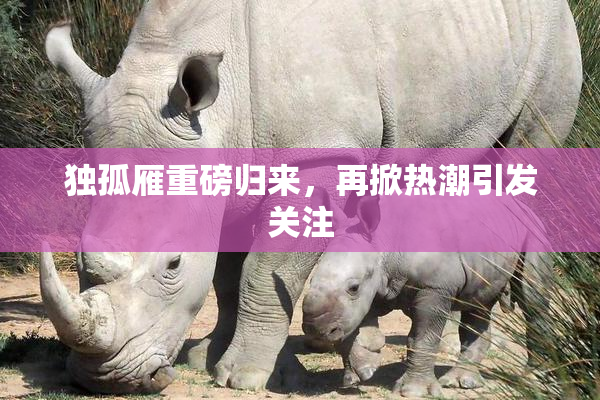 独孤雁重磅归来，再掀热潮引发关注