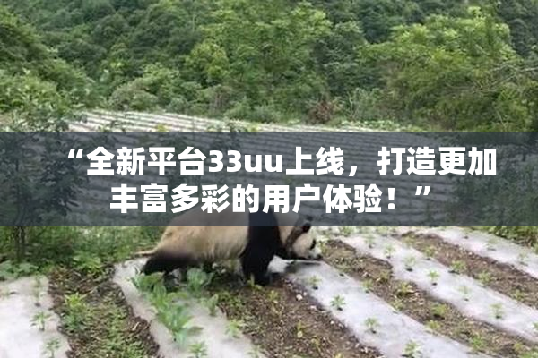“全新平台33uu上线，打造更加丰富多彩的用户体验！”