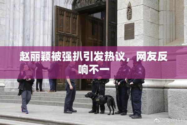 赵丽颖被强扒引发热议，网友反响不一