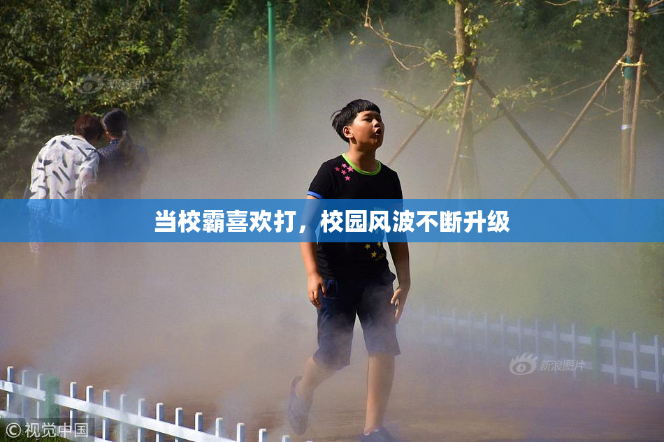 当校霸喜欢打，校园风波不断升级