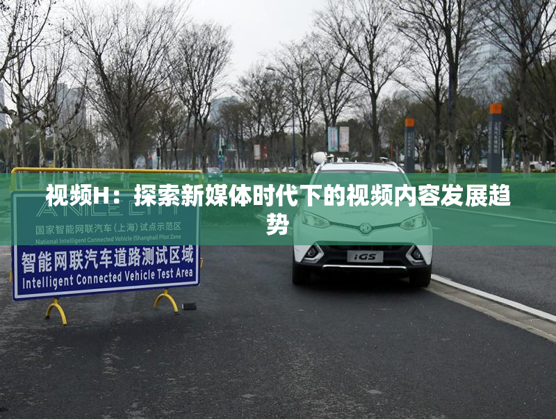 视频H：探索新媒体时代下的视频内容发展趋势