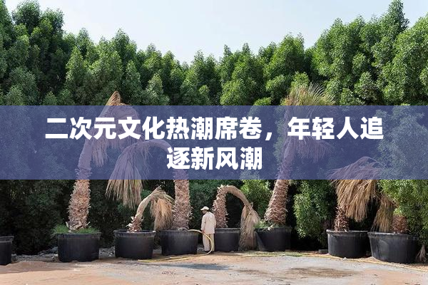 二次元文化热潮席卷，年轻人追逐新风潮