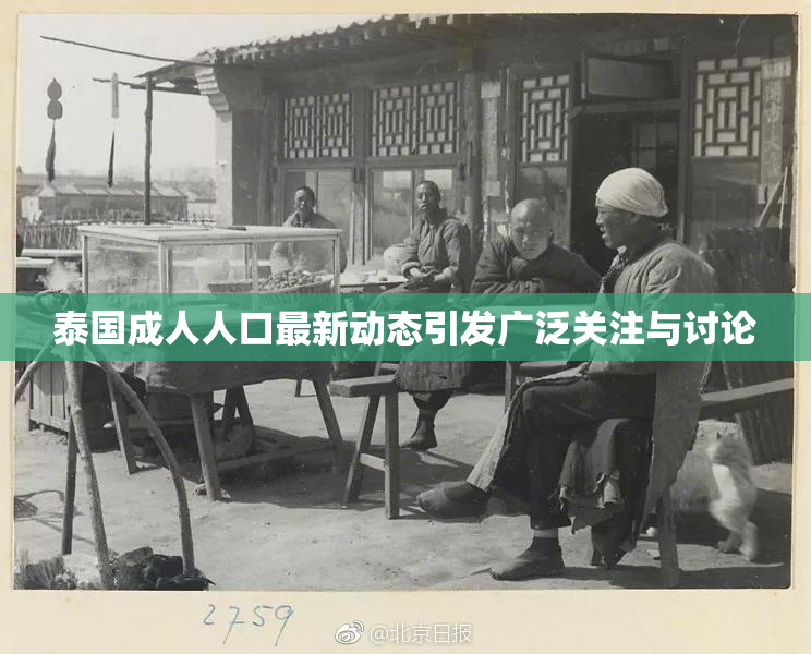 泰国成人人口最新动态引发广泛关注与讨论