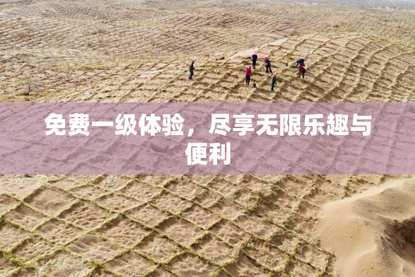 免费一级体验，尽享无限乐趣与便利