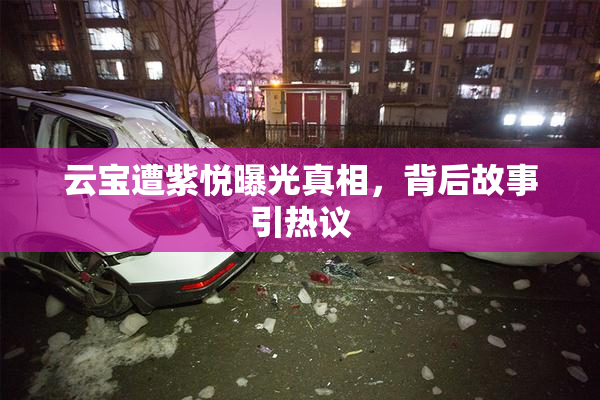 云宝遭紫悦曝光真相，背后故事引热议