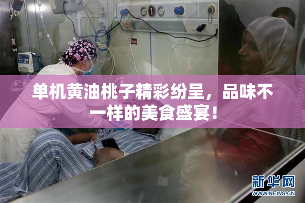 单机黄油桃子精彩纷呈，品味不一样的美食盛宴！