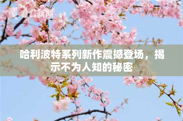 哈利波特系列新作震撼登场，揭示不为人知的秘密