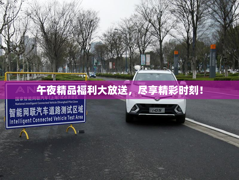 午夜精品福利大放送，尽享精彩时刻！