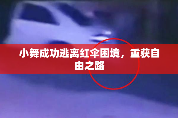 小舞成功逃离红伞困境，重获自由之路