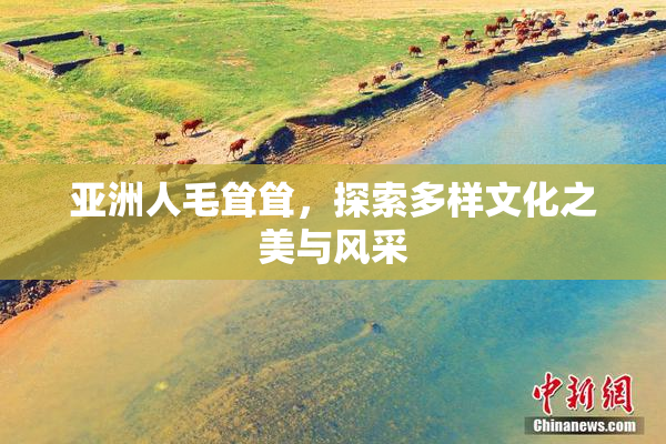 亚洲人毛耸耸，探索多样文化之美与风采
