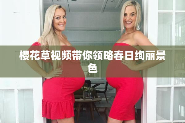 樱花草视频带你领略春日绚丽景色