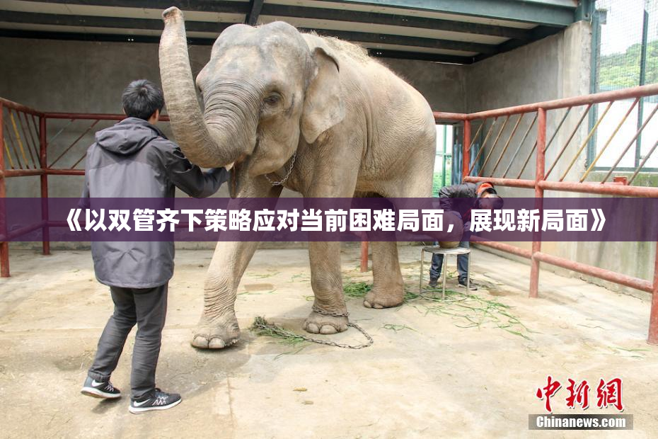 《以双管齐下策略应对当前困难局面，展现新局面》