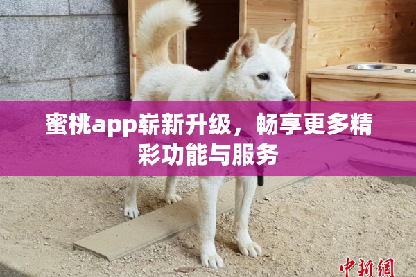 蜜桃app崭新升级，畅享更多精彩功能与服务