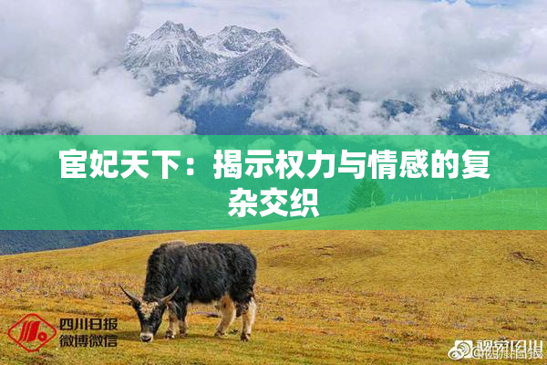 宦妃天下：揭示权力与情感的复杂交织