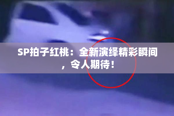 SP拍子红桃：全新演绎精彩瞬间，令人期待！