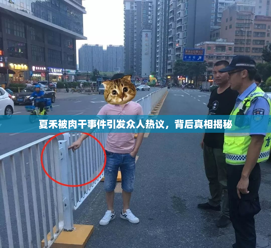夏禾被肉干事件引发众人热议，背后真相揭秘