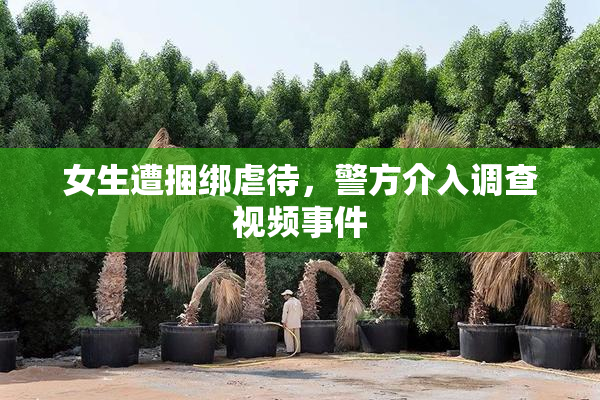 女生遭捆绑虐待，警方介入调查视频事件