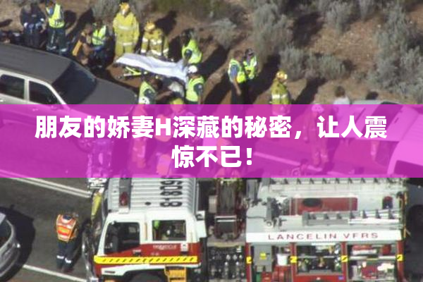 朋友的娇妻H深藏的秘密，让人震惊不已！
