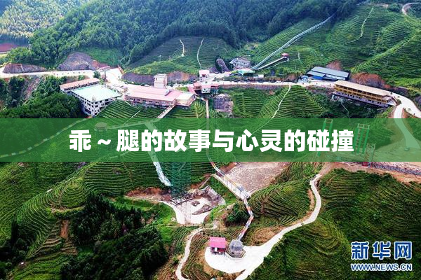 乖～腿的故事与心灵的碰撞